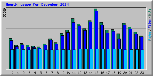 Hourly usage for December 2024